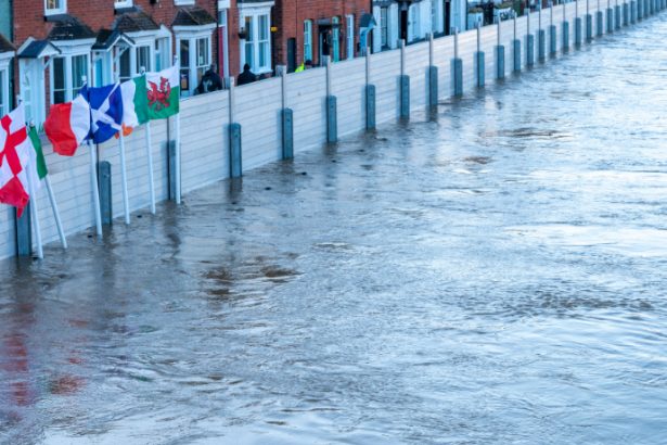 Gestão de redes sociais