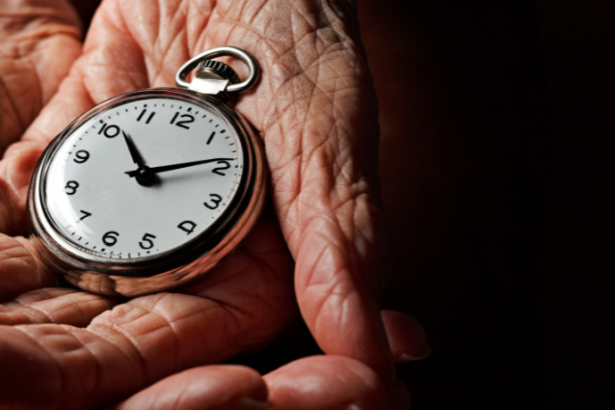 Francisco Gonçalves Perez