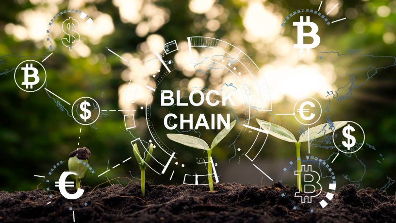 Sustentabilidade com tecnologia: Aldo Vendramin analisa como o blockchain revoluciona a rastreabilidade no agro.