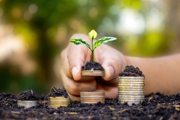 Kelsem Ricardo Rios Lima ensina como alcançar a liberdade financeira por meio de pequenas ações e escolhas conscientes no dia a dia.