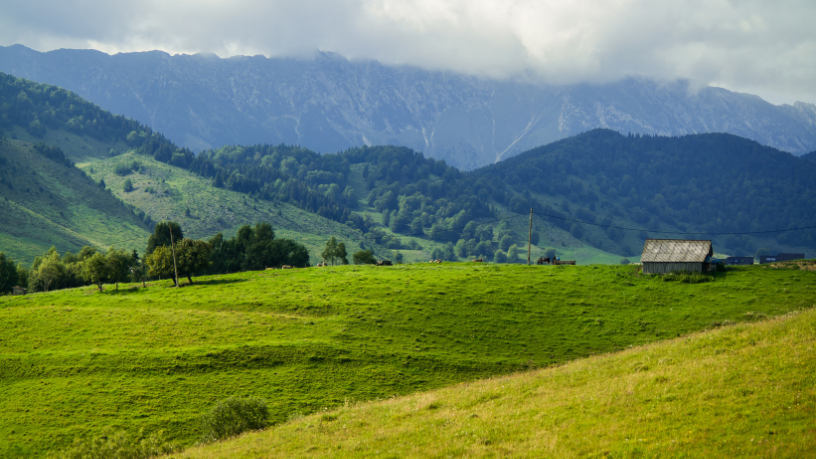 Alex Nabuco dos Santos afirma que casas de campo sustentáveis são tendência para quem busca bem-estar e vida equilibrada.